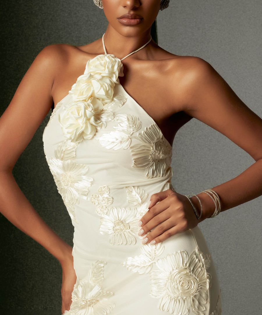 Embroidery Appliques Dress - Laine