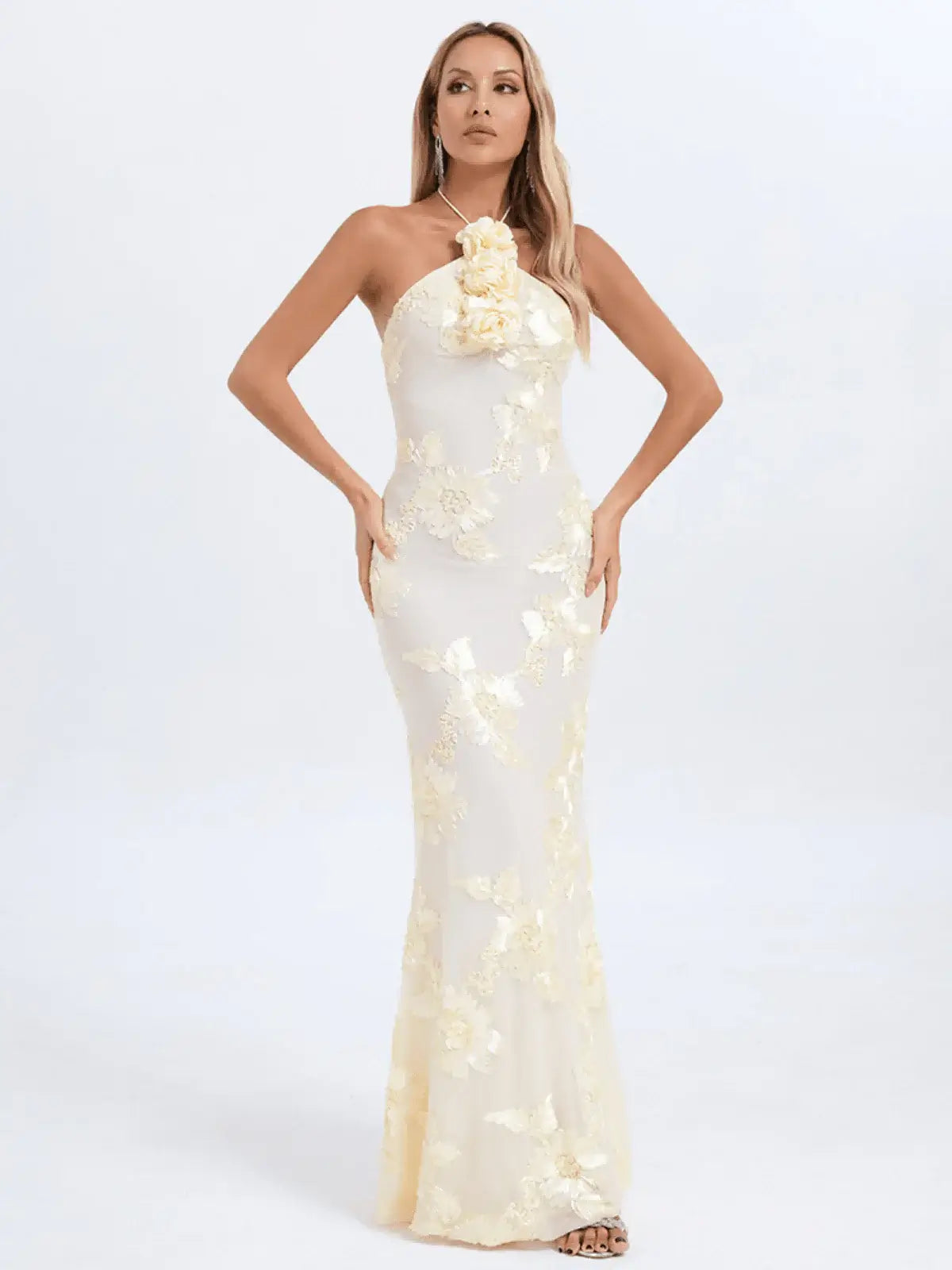 Embroidery Appliques Dress - Laine - Image 5