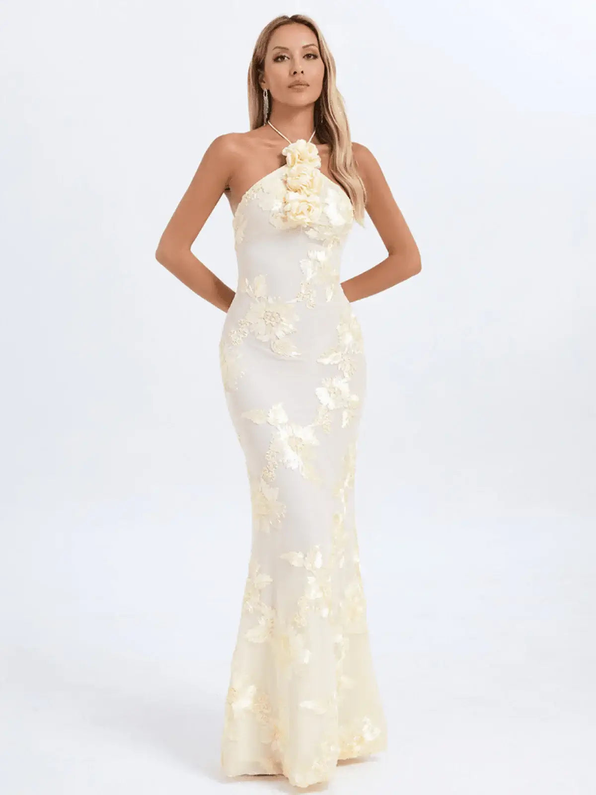Embroidery Appliques Dress - Laine - Image 6